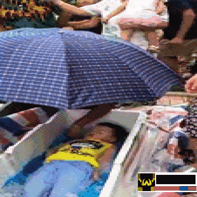 真相|泡沫箱里放冰塊 專偷小孩兒腎？！警方公布視頻真相